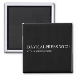 BAYKALPRESS  Magnets (more shapes)