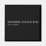 Mthobisi avenue  Magnets (more shapes)