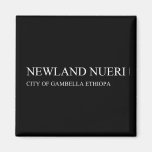 newland nueri  Magnets (more shapes)