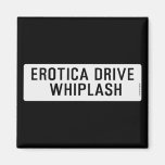 EROTICA DRIVE      WHIPLASH   Magnets (more shapes)