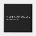 06 MERT 4790  Magnets (more shapes)