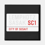 LEMPHOTZ SASAK  Magnets (more shapes)