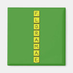 F
 L
 O
 R
 A
 M
 A
 E  Magnets (more shapes)