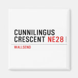 Cunnilingus  crescent  Magnets (more shapes)