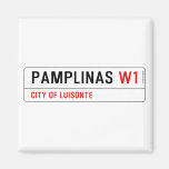 PAMPLINAS  Magnets (more shapes)