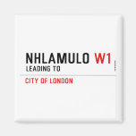 Nhlamulo  Magnets (more shapes)