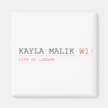 Kayla malik  Magnets (more shapes)