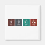 Burcu  Magnets (more shapes)