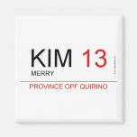 KIM  Magnets (more shapes)