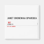 JANET OHENEWAA OPAREBEA     Magnets (more shapes)