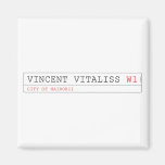 vincent vitaliss  Magnets (more shapes)