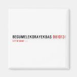 BEGUMELEKORAYEKBAS  Magnets (more shapes)