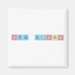 N|erdy princ|ess  Magnets (more shapes)