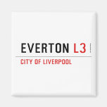 EVERTON  Magnets (more shapes)