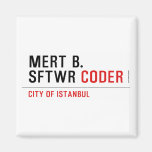 MERT B. SFTWR  Magnets (more shapes)