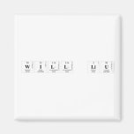 Will Liu  Magnets (more shapes)