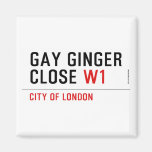 GAY GINGER CLOSE  Magnets (more shapes)