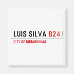 Luis Silva  Magnets (more shapes)