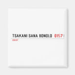 Tsakani Sana Bonolo   Magnets (more shapes)