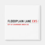 Floodplain lane  Magnets (more shapes)