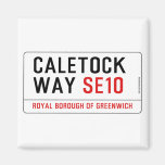 caletock  way  Magnets (more shapes)