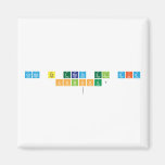 COMO TE TRATA EL DIA
 CHINCHU? 
   Magnets (more shapes)
