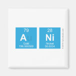 ANI  Magnets (more shapes)