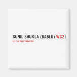 Sunil shukla (bablu)  Magnets (more shapes)