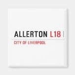 ALLERTON  Magnets (more shapes)