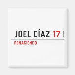 JOEL DÍAZ  Magnets (more shapes)