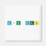 Aju Deb  Magnets (more shapes)