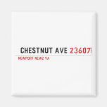  Chestnut Ave  Magnets (more shapes)
