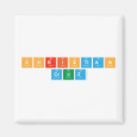 CHRISTIAN
 CRUZ  Magnets (more shapes)