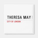THERESA MAY  Magnets (more shapes)