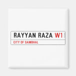 Rayyan Raza  Magnets (more shapes)