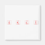 C a l y  Magnets (more shapes)