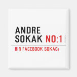 ANDRE SOKAK  Magnets (more shapes)
