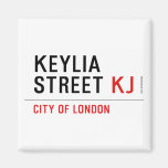 Keylia Street  Magnets (more shapes)