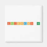 Finissants.es  Magnets (more shapes)