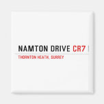 NAMTON DRIVE  Magnets (more shapes)