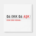 06 ekk 06  Magnets (more shapes)