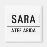 sara  Magnets (more shapes)