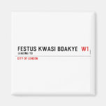 FESTUS KWASI BOAKYE   Magnets (more shapes)