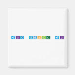 feliz cumple feli  Magnets (more shapes)