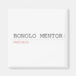 BONOLO MENTOR  Magnets (more shapes)