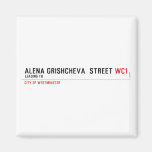 ALENA GRISHCHEVA  STREET  Magnets (more shapes)