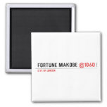 FORTUNE MAKOBE  Magnets (more shapes)