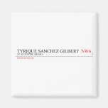 tyrique sanchez gilbert   Magnets (more shapes)