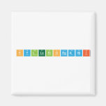SyllabiOrganii  Magnets (more shapes)