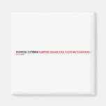 SHAHRIZAL B OTHMAN  Magnets (more shapes)